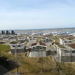Seegras Wendtorf